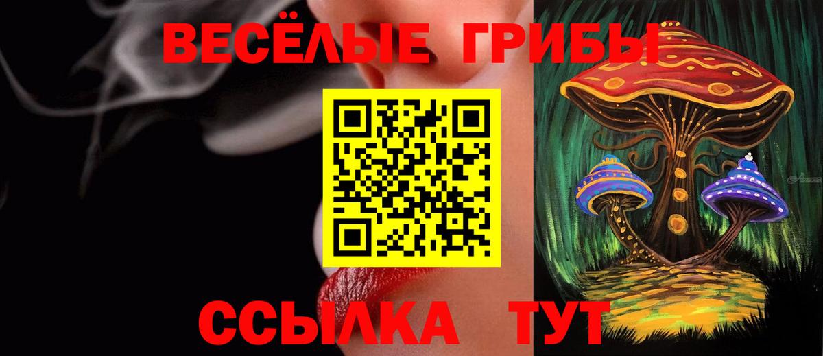 Галлюциногенные грибы GOLDEN TEACHER  Галлюциногенные грибы Psilocybine cubensis  Вход с VPN  Петропавловск-Камчатский 